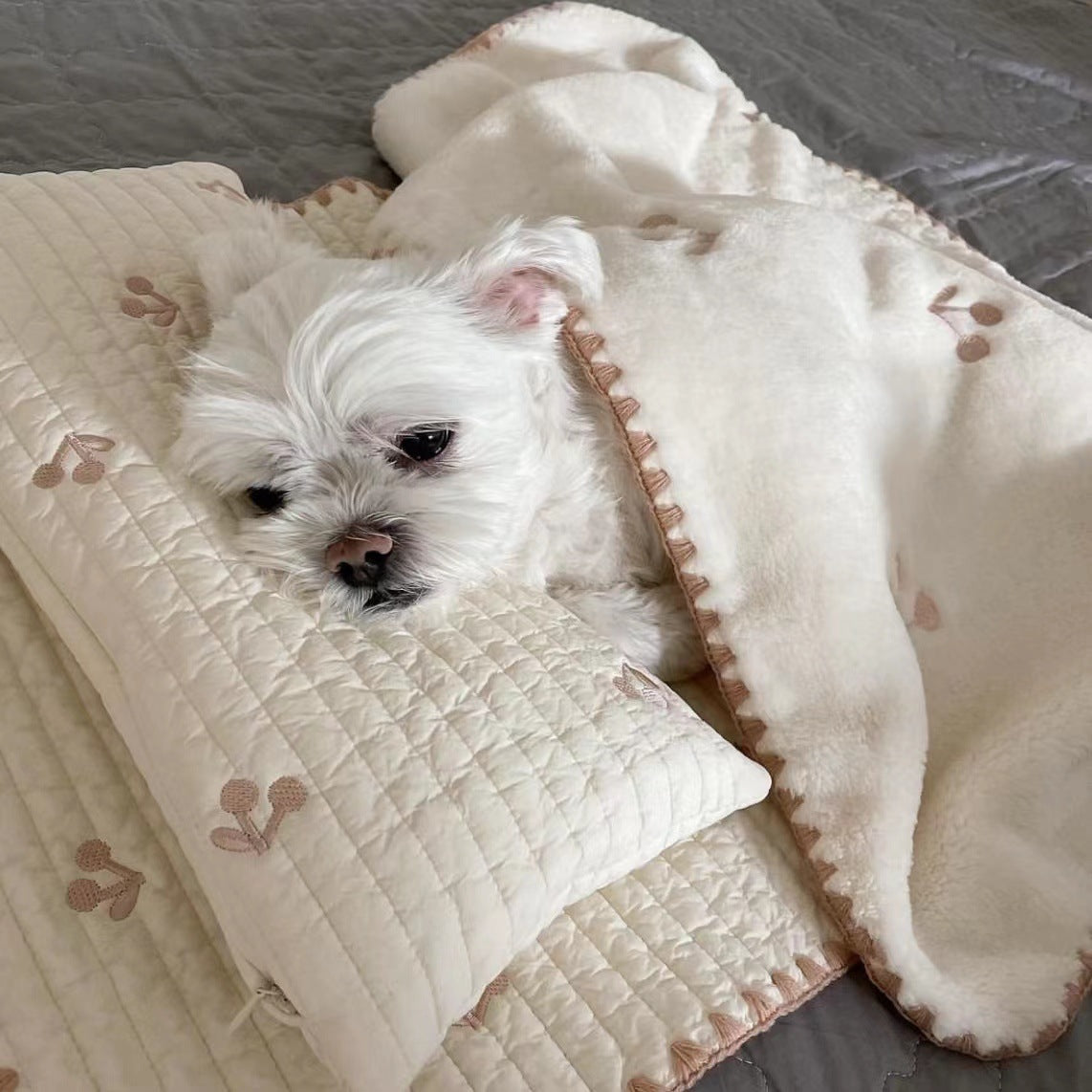 5be903184fd1063d71f781b49d783ad6
